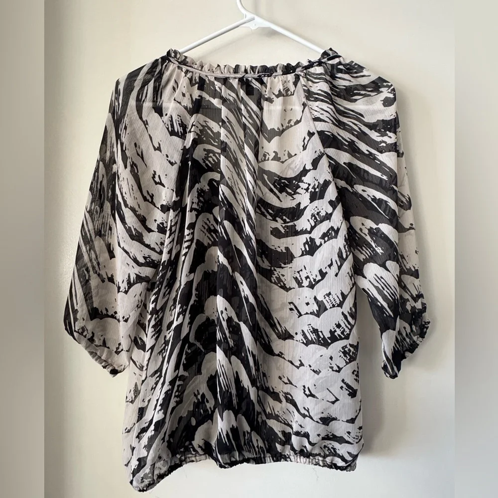 Express Semi-Sheer V-Neck Top
